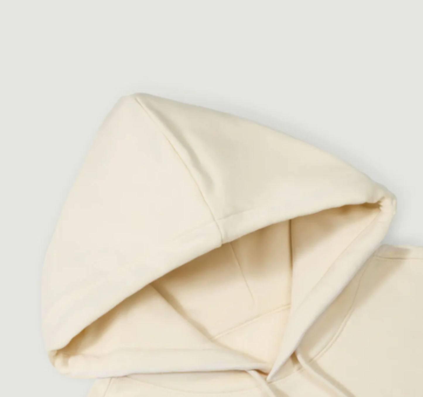 Heavyweight Hoodie - Truth-Made 